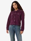 Product image thumbnail 1 NMCORD CORDUROY SHORT JACKET, Fig