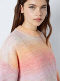 Noisy May MULTI-COLOURED KNITTED PULLOVER, Flamingo Pink, highres - 27030033_FlamingoPink_1102979_006.jpg