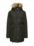 Noisy May LANG PARKAS, Rosin, highres - 27019265_Rosin_001.jpg